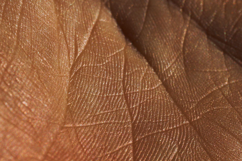 <b>HM3</b><br>Palm by coleviolin