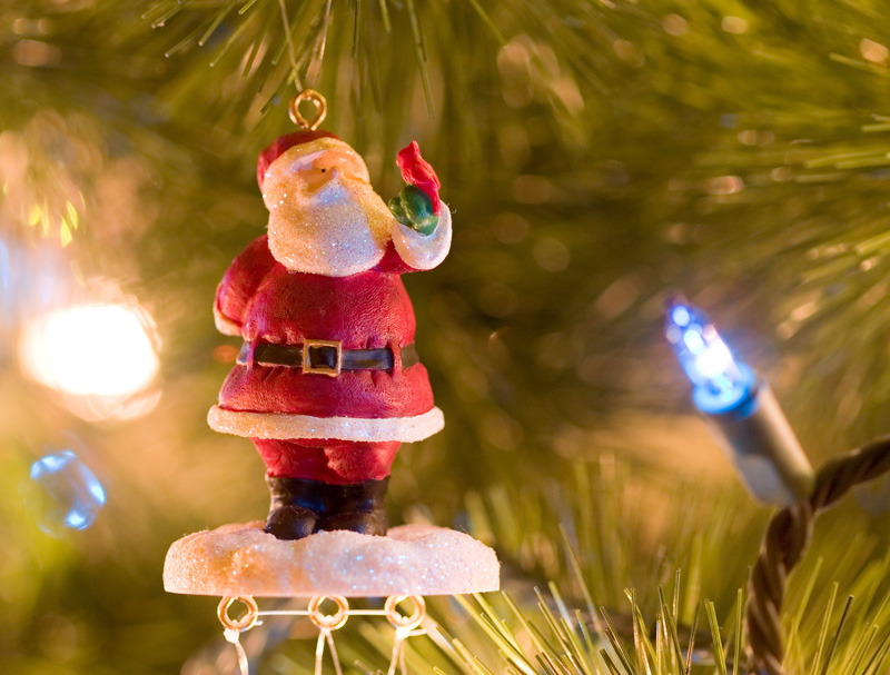 Little Santa -  by Eric J.