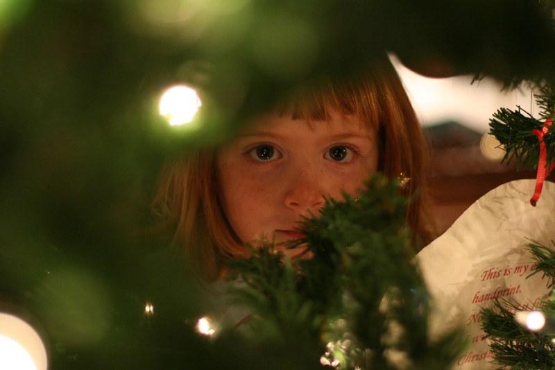 Through The Tree By L. Gill