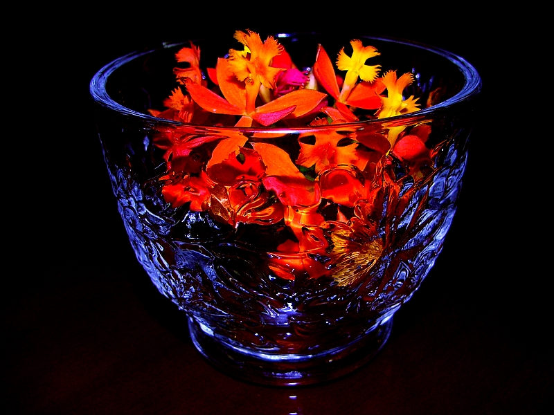 fiery orchids  by: Bot