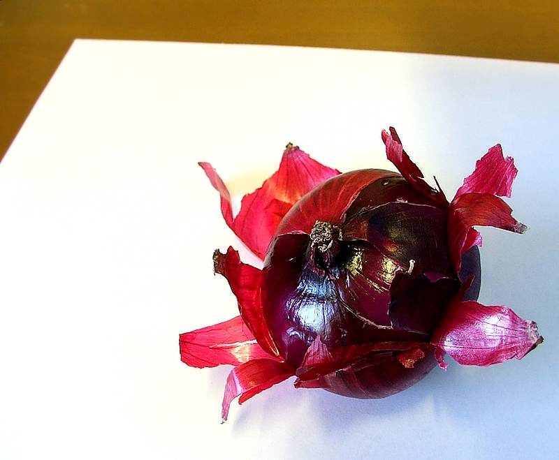 spanish onion    by: bot