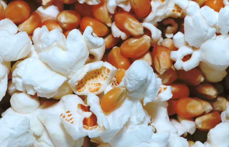 Kernels-Wayne Miller.JPG