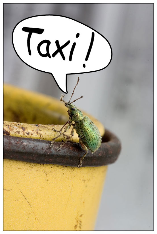 taxi (example)