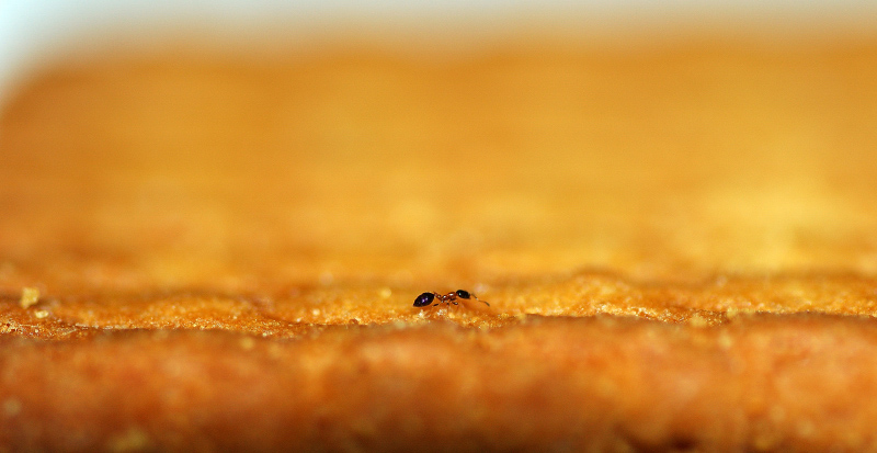 Its a long way to go...By Muthu