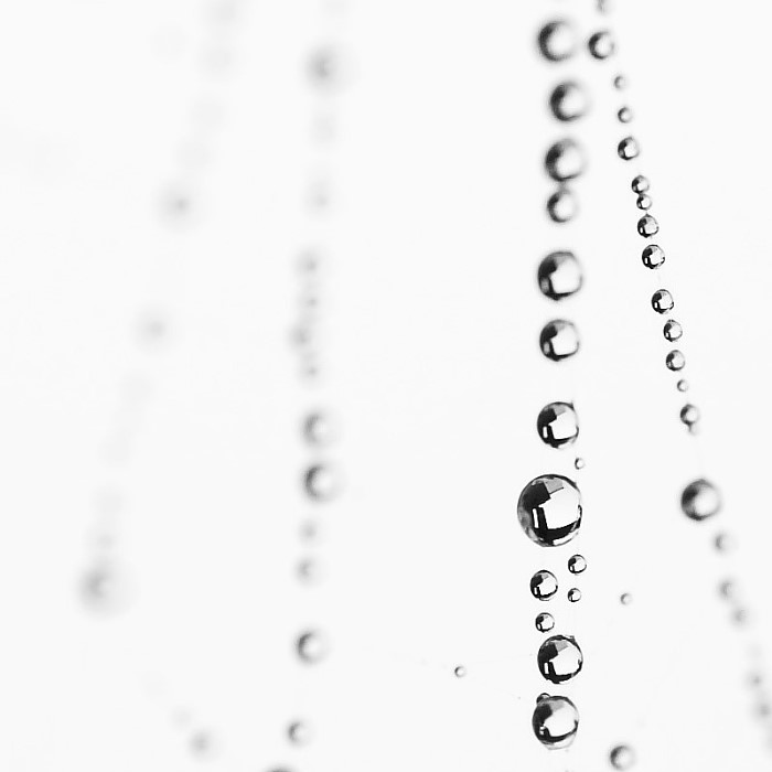 Honey, I dropped the Bokeh - JensR