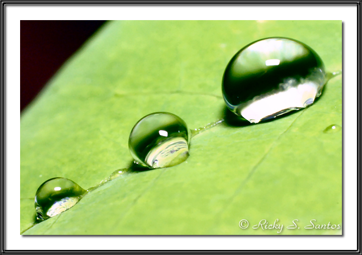 Nature Balls -2 by arbil