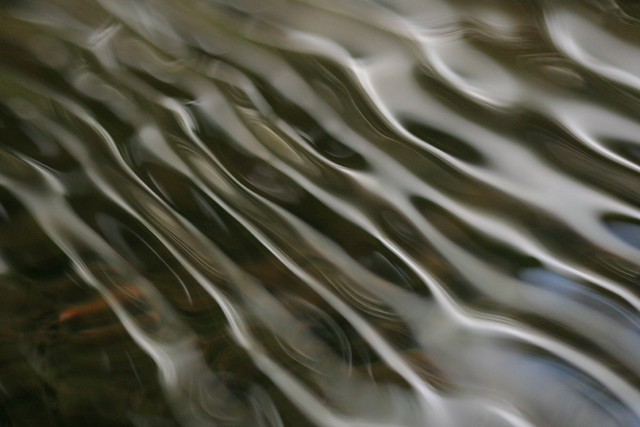water 10.jpg