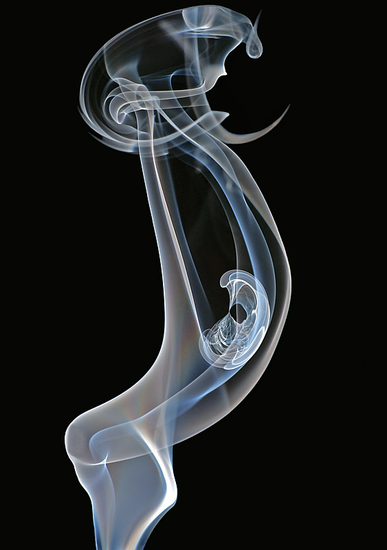 <b>Honorable Mention 2</b><br>New Life by MCsaba