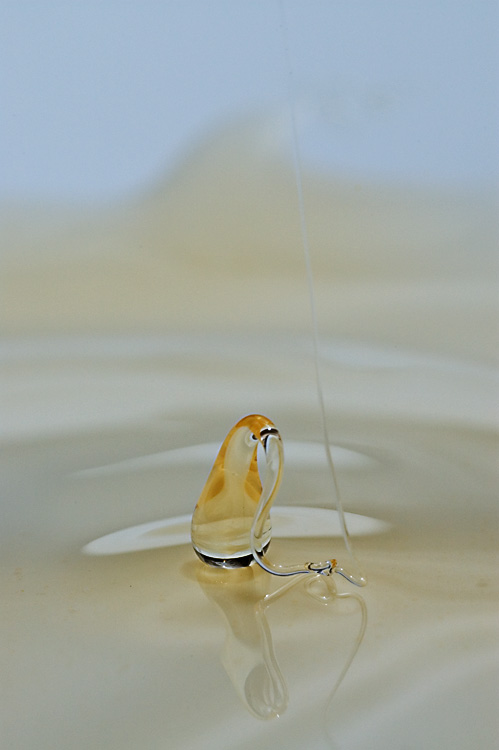 Honey II by debunix