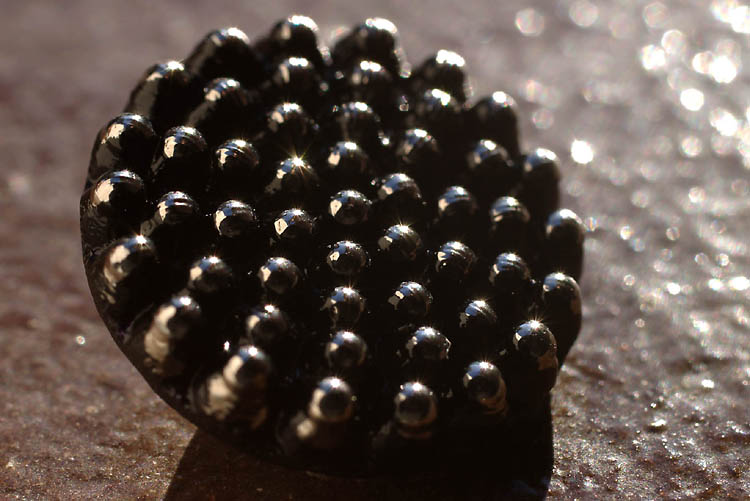 Sparkling Button - George VM