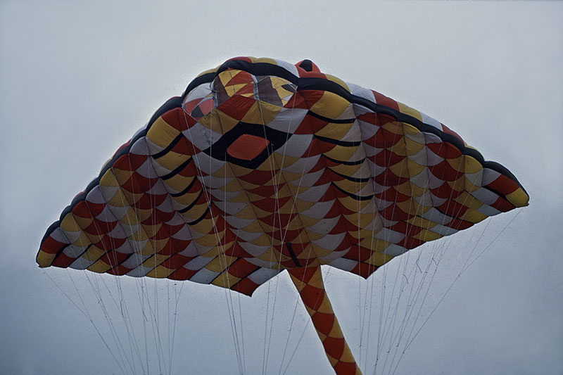 1988_38 kite