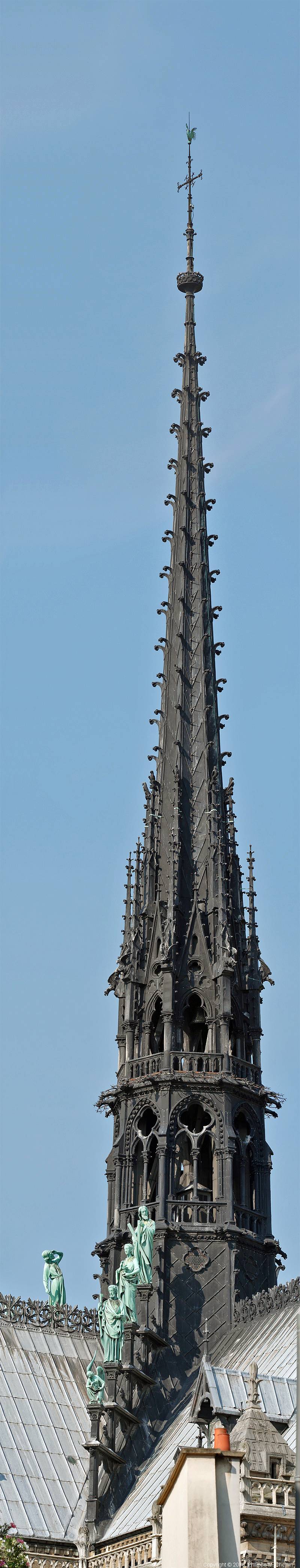 Notre-Dame de Paris from Quai aux Fleurs