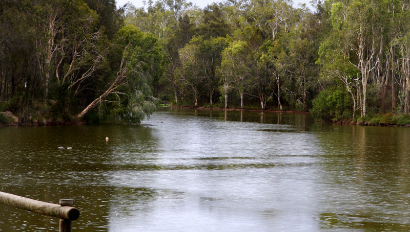 Wetlands