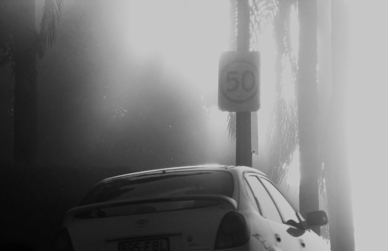 Early Morning Fog