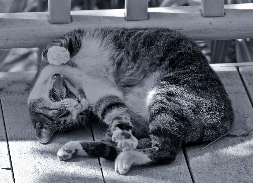 tough day