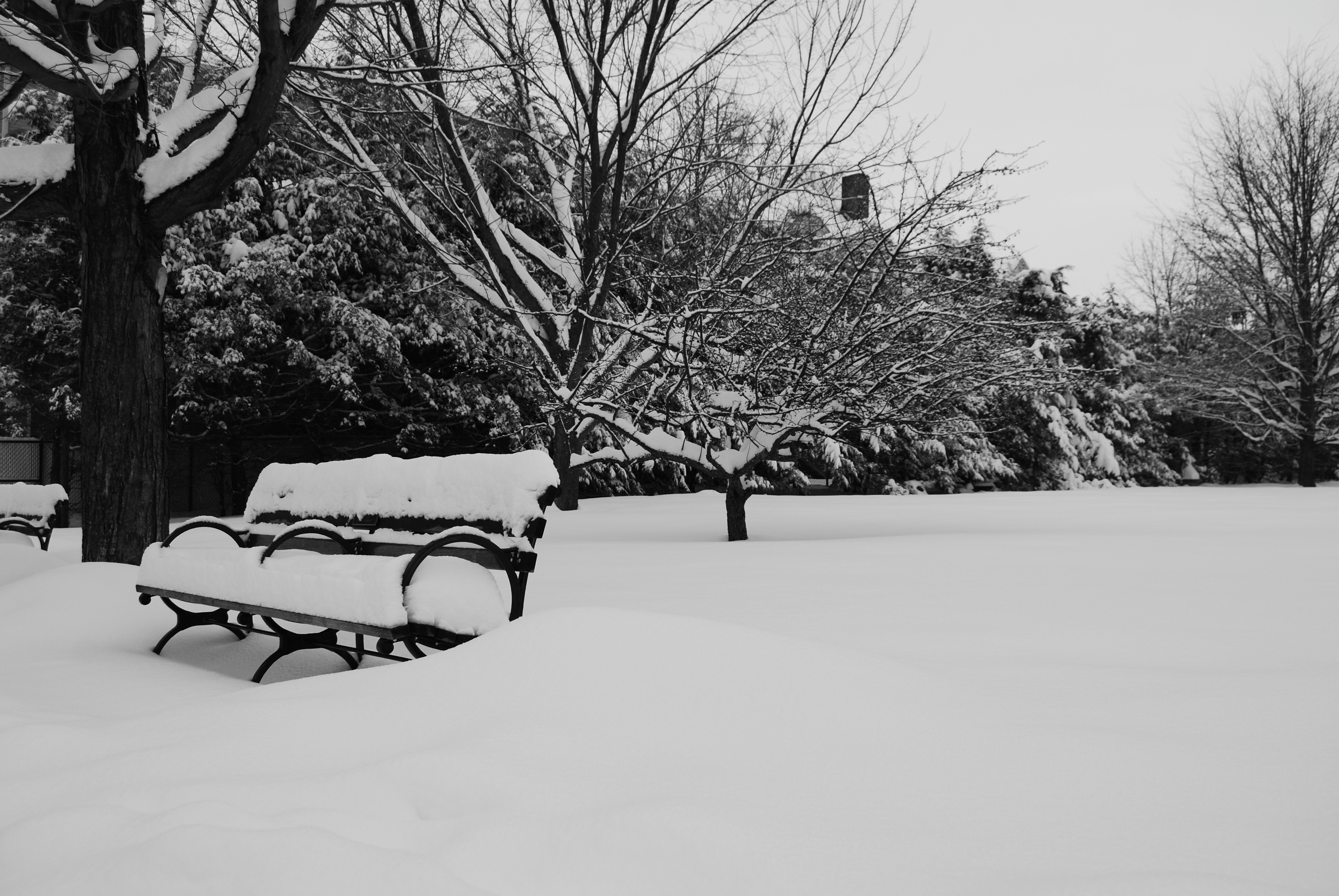 DSC_0213.JPG
