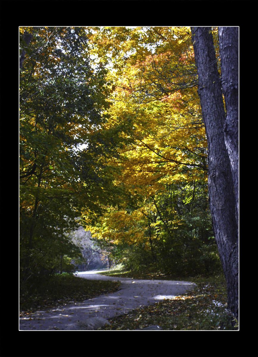 2009 - Serena Gundy Park