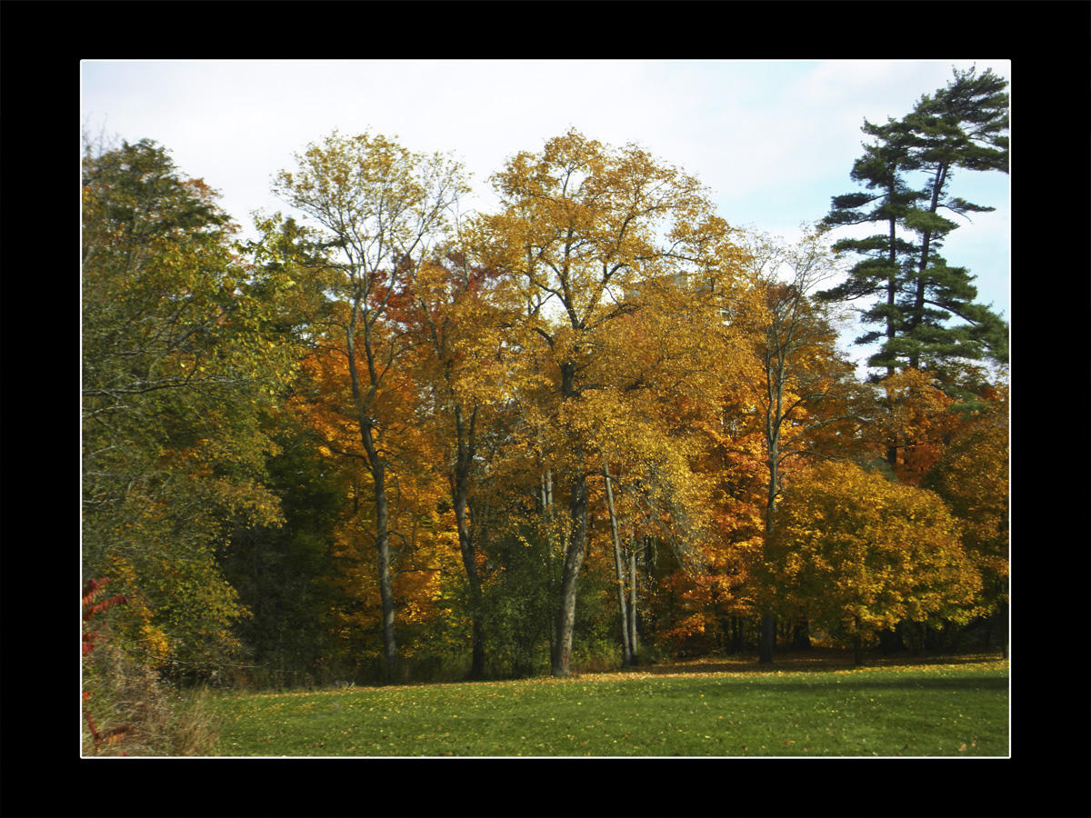 2009 - Serena Gundy Park