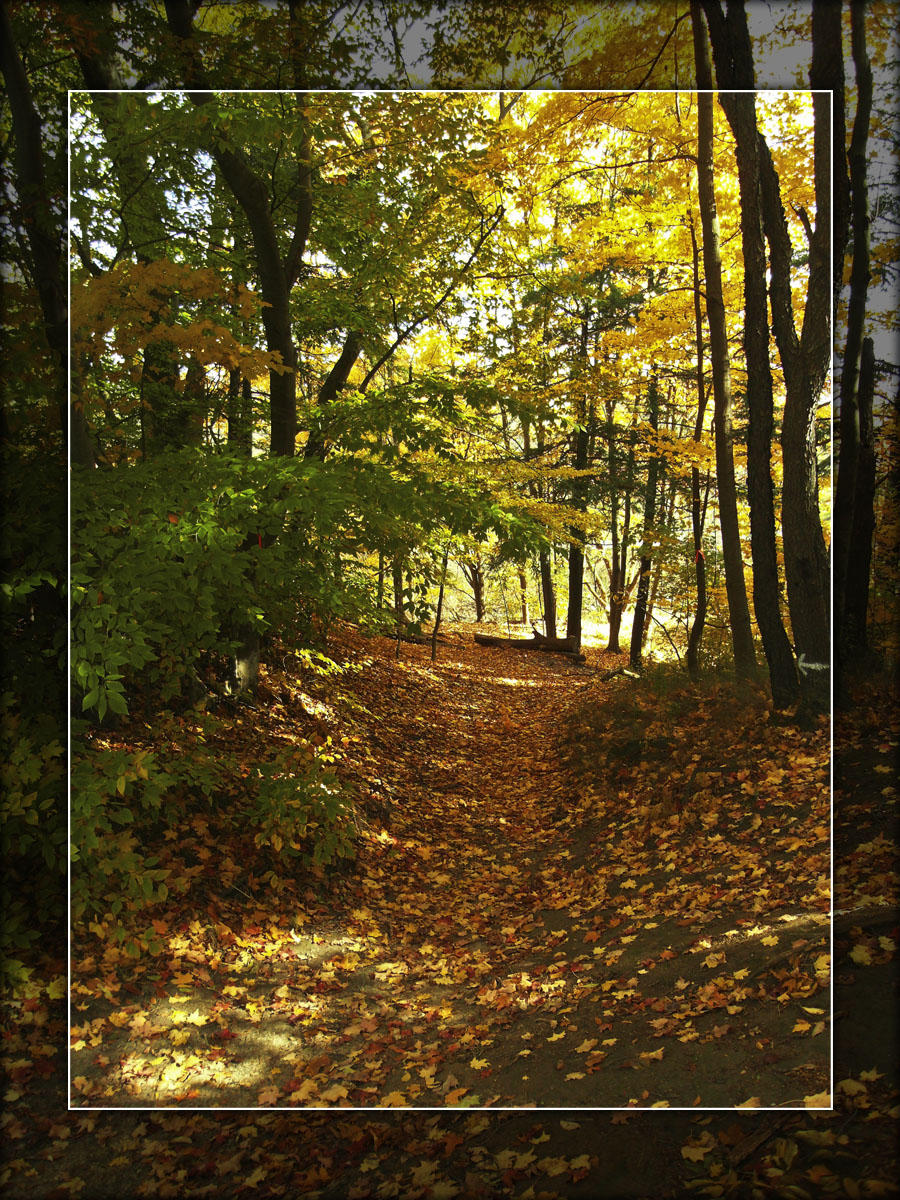 2009 - Serena Gundy Park
