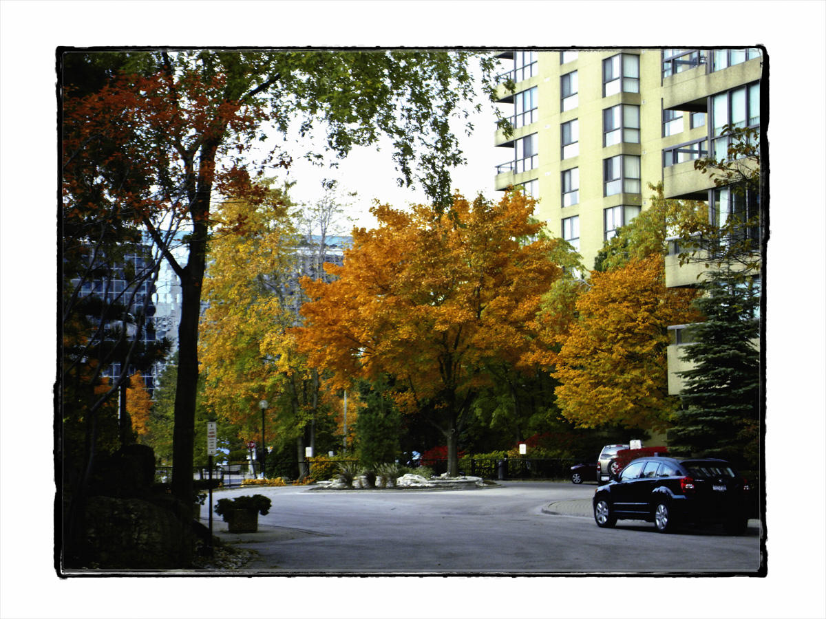 2009 - 3 Concorde Place