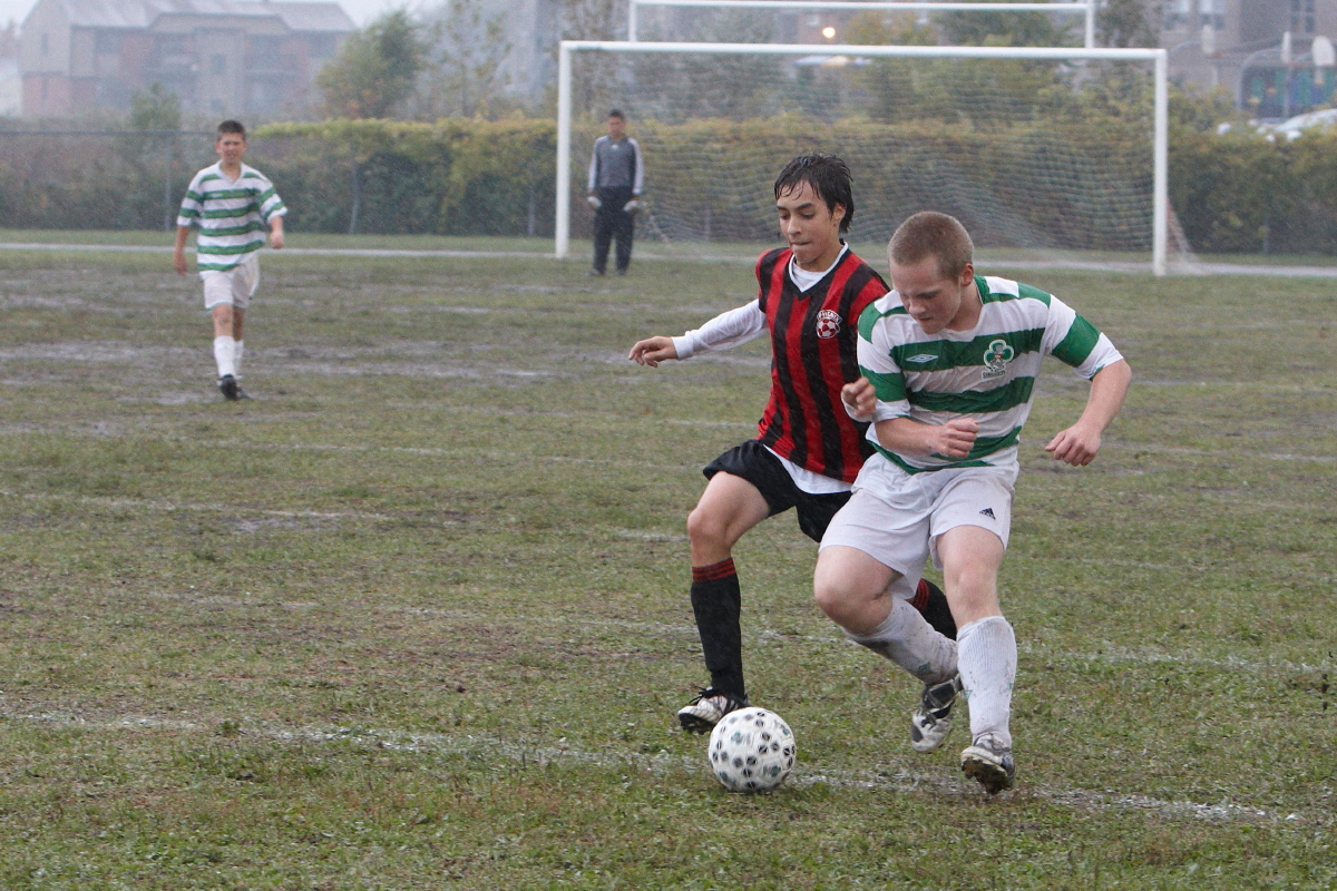IMG_8460_1_1.jpg