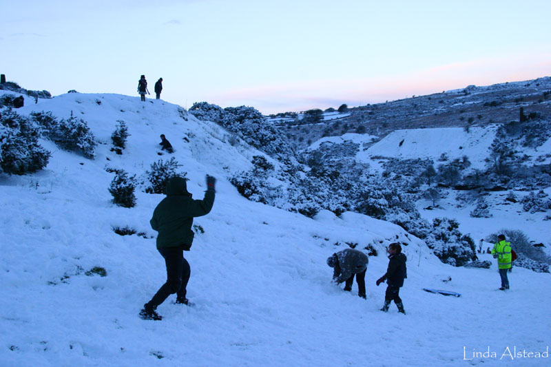 snowball fight
