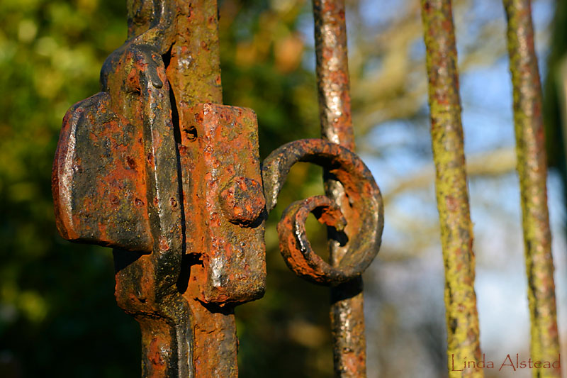 25th February 2006 - beyond the gate