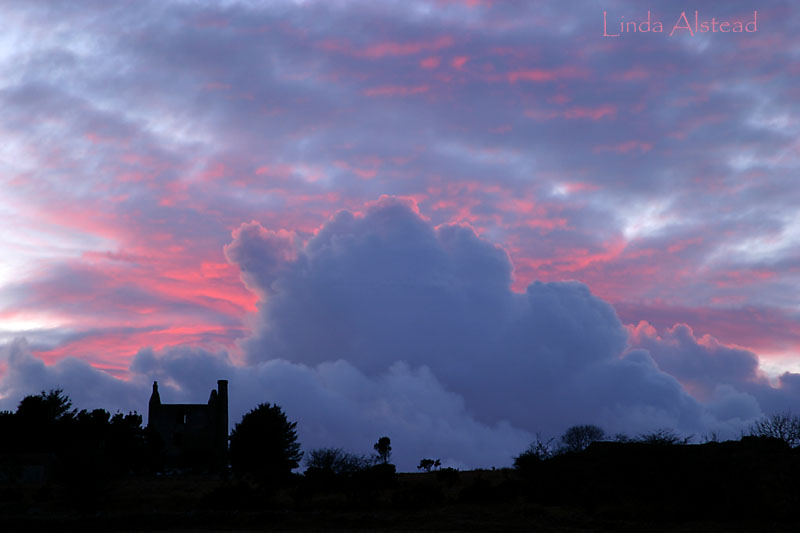 5th March 2006 - pink