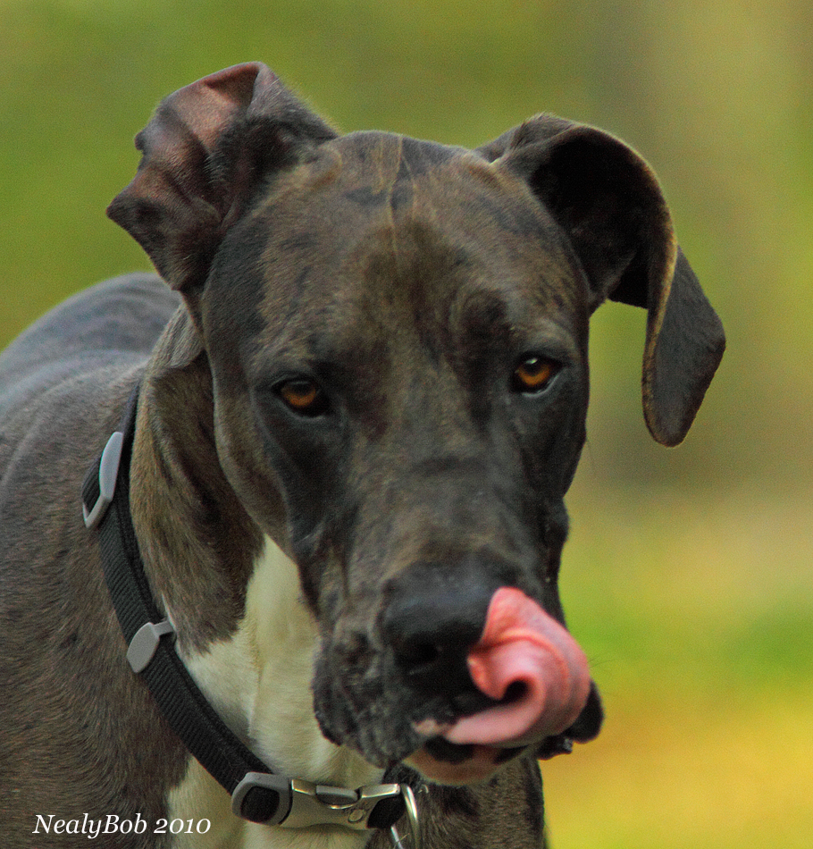 Tongue Action March 17