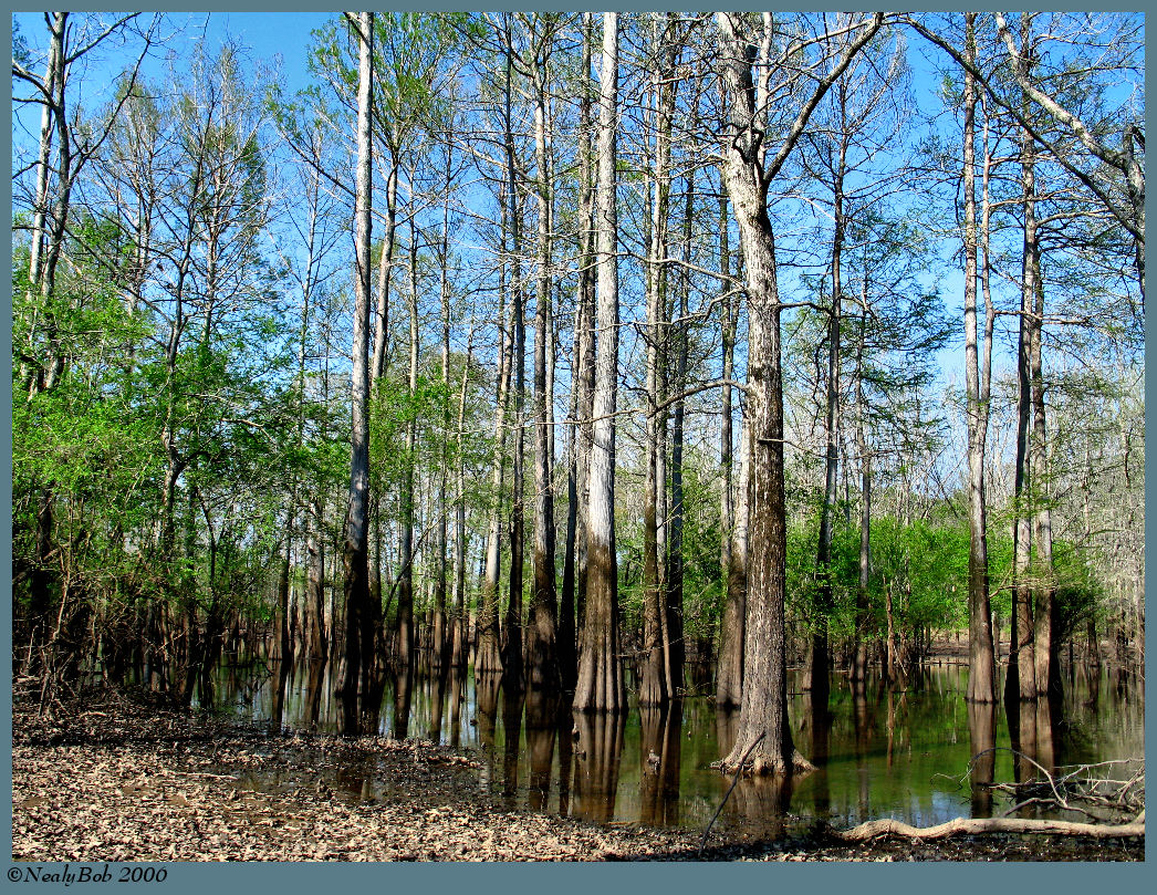 High Water April 14 *