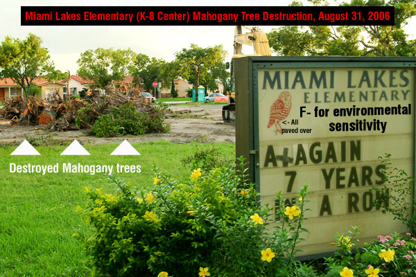 A in FCAT testing, F- for environmental sensitivity - Miami Lakes Elementary (K-8 Center) destruction of Mahogany trees