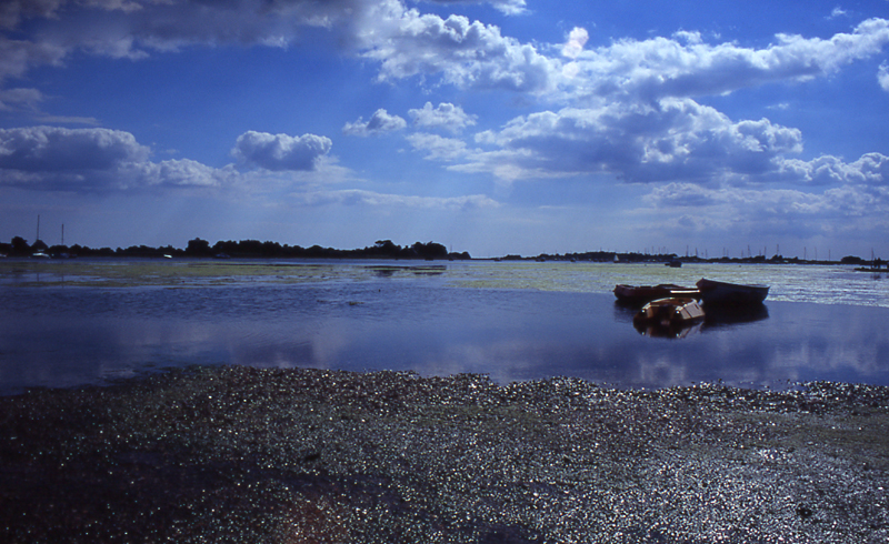 bosham Untitled-1.jpg