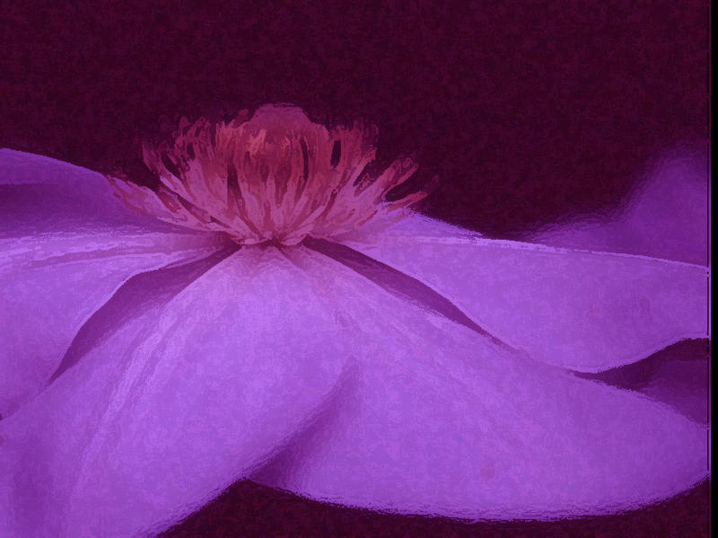 Pink flower Untitled-1.jpg