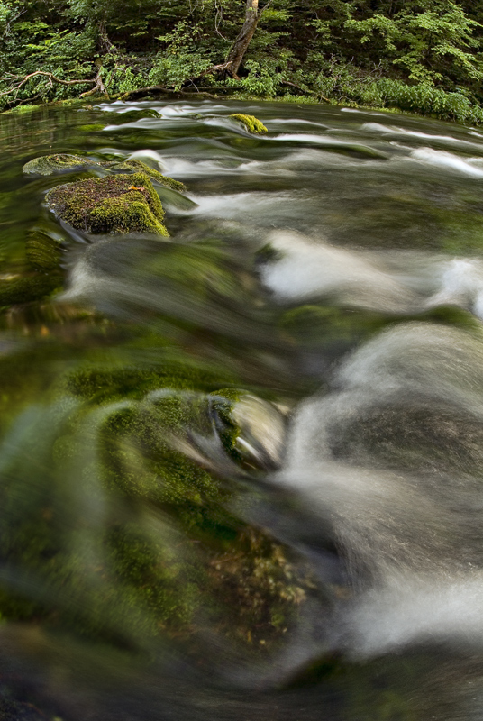 Spring -ed rapids