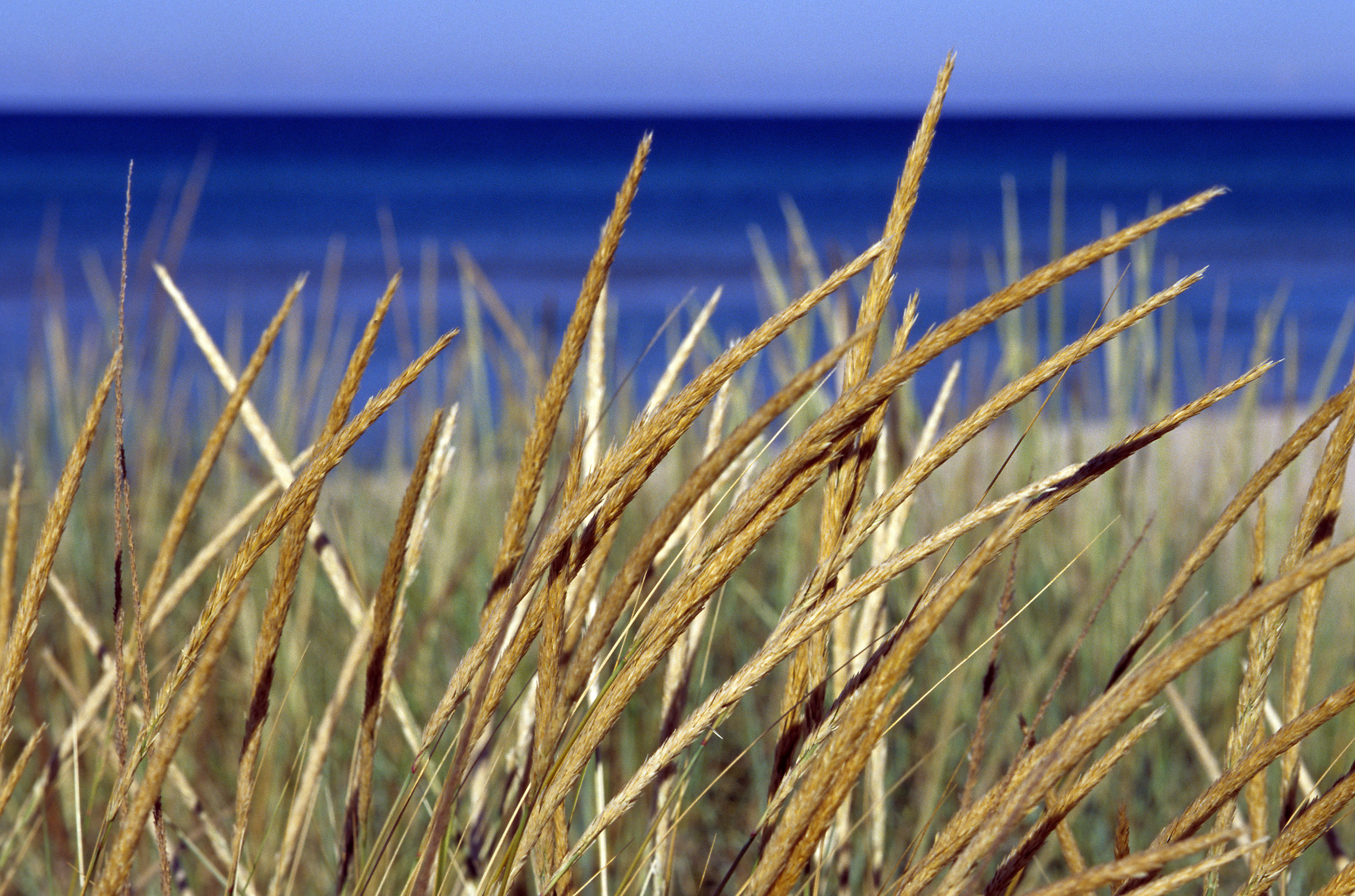 Down by Lake Michigan
