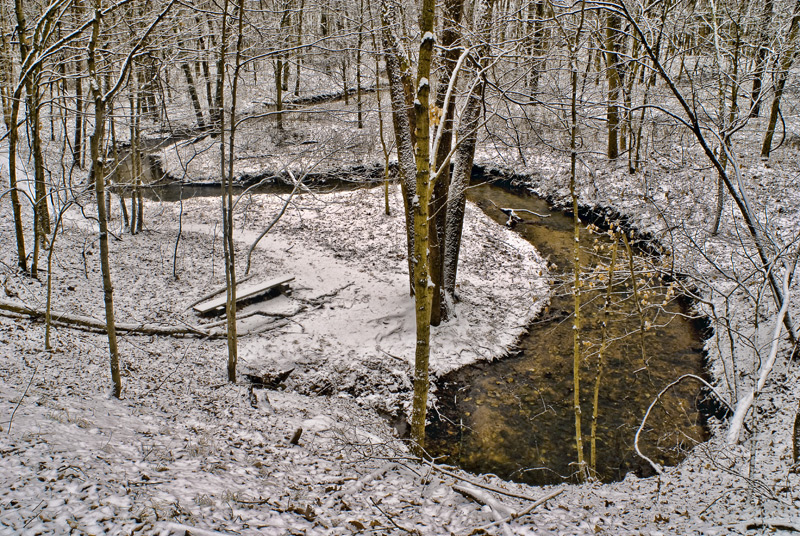 Lone Spring