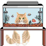CaFfishtank.gif