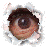 Eyeflash.gif