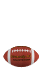 Football1.gif