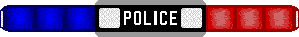 Copy of PoliceLites2.gif