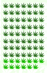 PotLeaves1.jpg