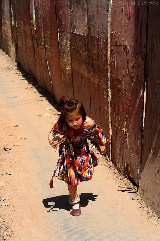 d7011 051.jpg