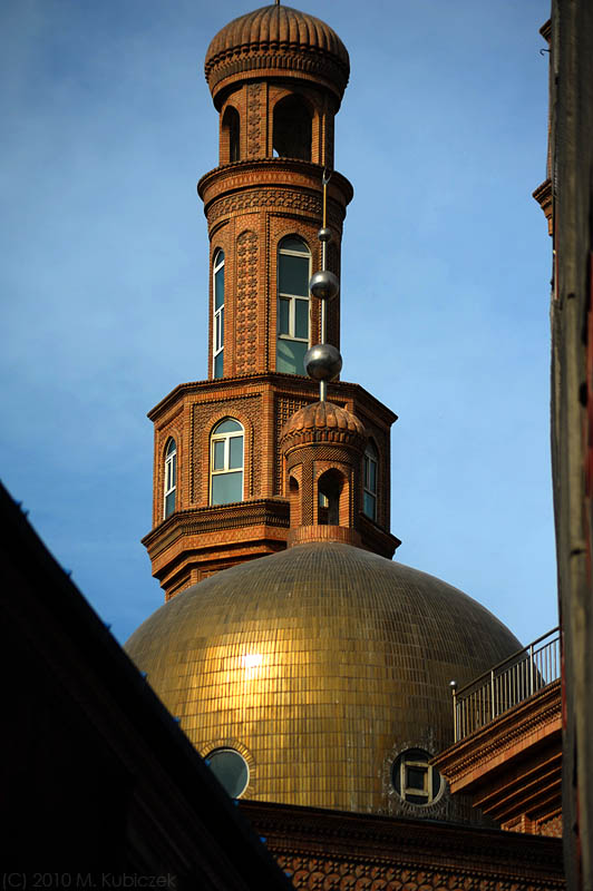 d7010 130.jpg