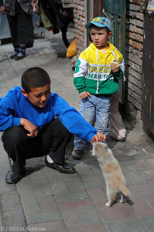 d7010 077.jpg