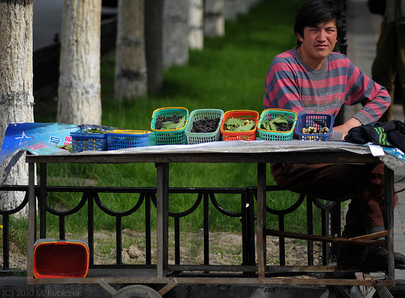 d7010 085.jpg