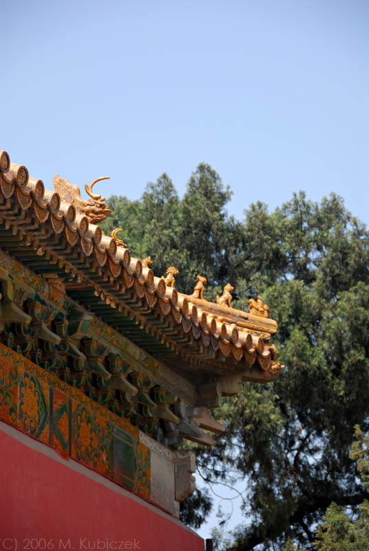 DSC_0015.jpg