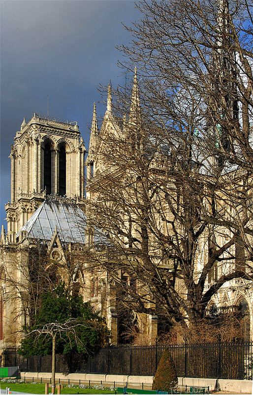 par_07 (17).jpg