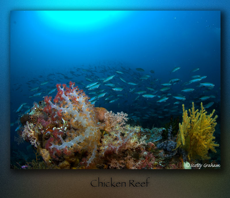 papua32.jpg