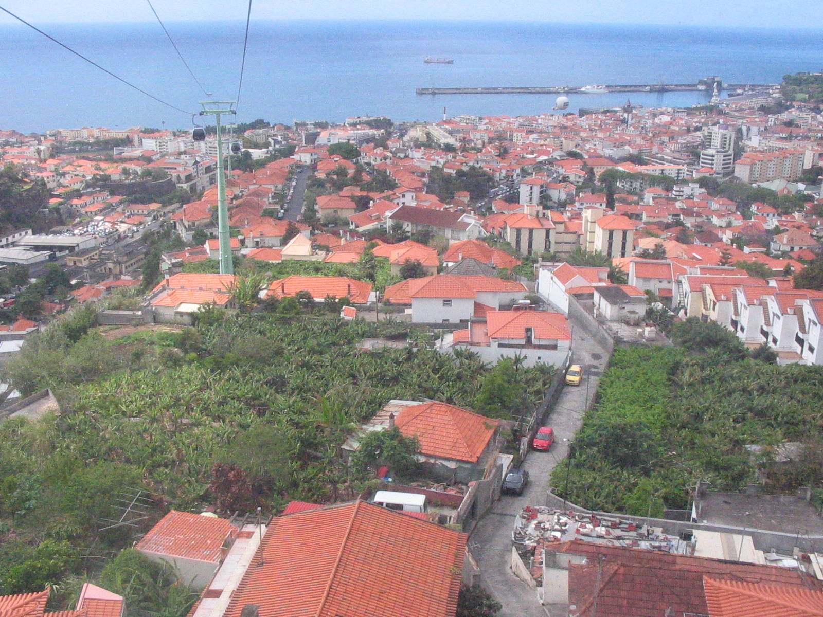 View back to harbour from gondola