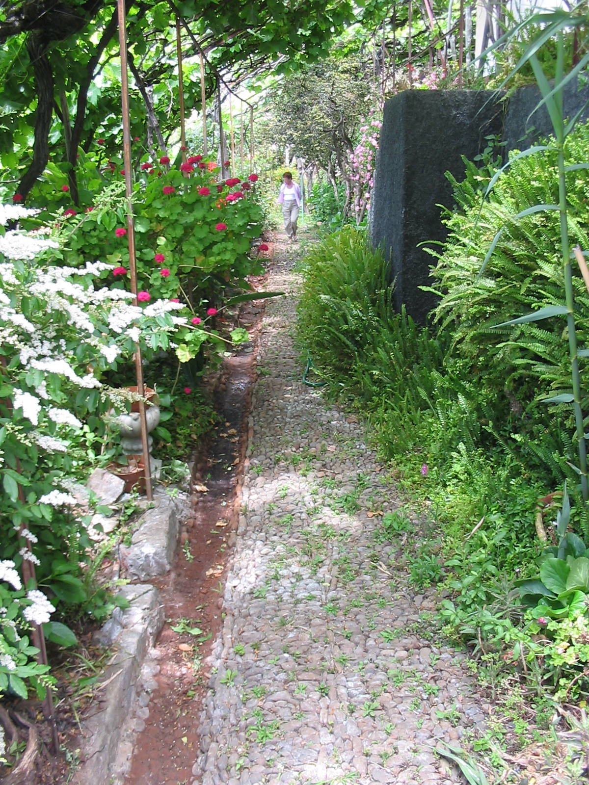 Vila Afonso